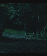 460.jpg